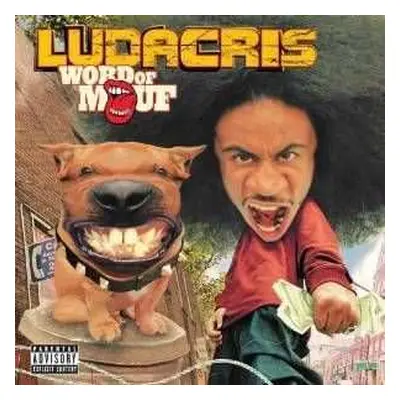 2LP Ludacris: Word Of Mouf CLR