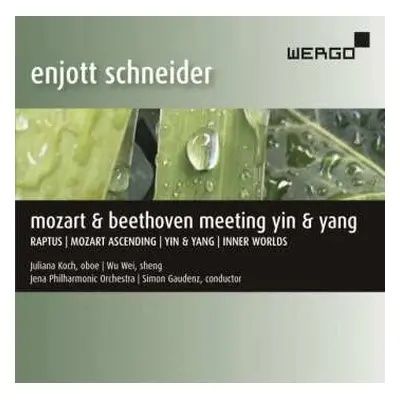 CD Enjott Schneider: Mozart & Beethoven Meeting Yin & Yang