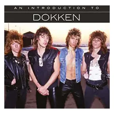 CD Dokken: An Introduction To Dokken