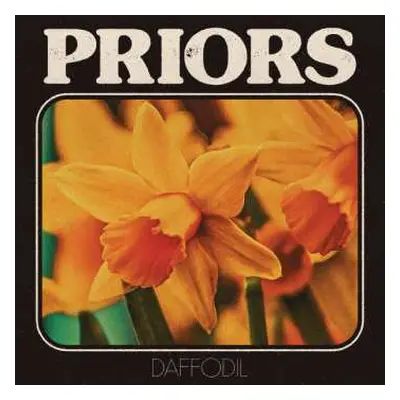 LP PRIORS: Daffodil