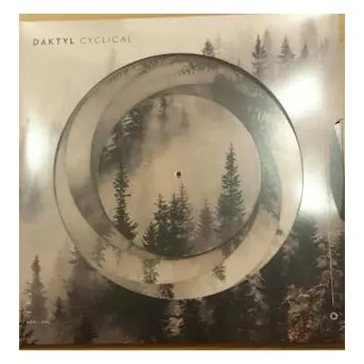 LP Daktyl: Cyclical