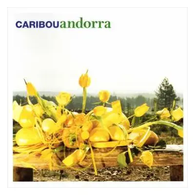 LP Caribou: Andorra