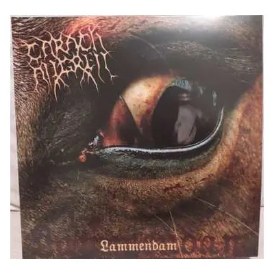 2LP Carach Angren: Lammendam CLR | LTD