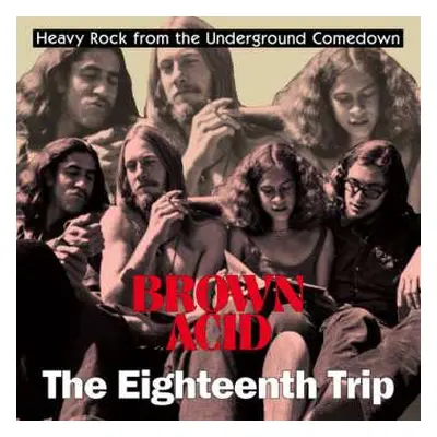 LP Various: Brown Acid: The Eighteenth Trip (Heavy Rock From The Underground Comedown)