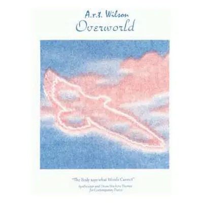 LP Andrew Wilson: Overworld