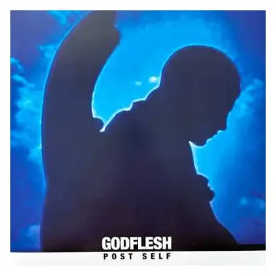 LP Godflesh: Post Self