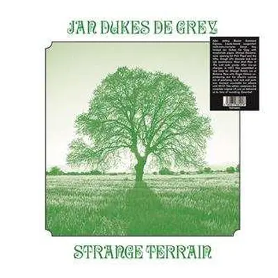 LP Jan Dukes De Grey: Strange Terrain