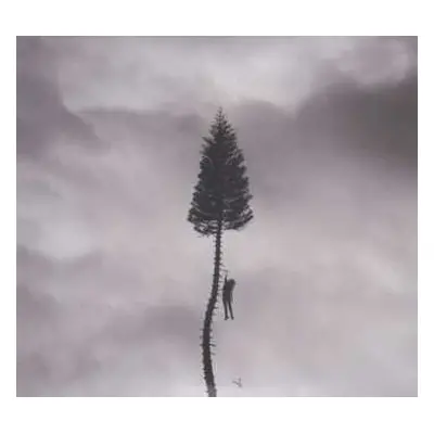 CD Manchester Orchestra: A Black Mile To The Surface