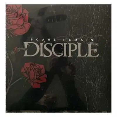 LP Disciple: Scars Remain CLR