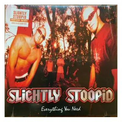 LP Slightly Stoopid: Everything You Need CLR