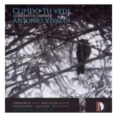 CD Antonio Vivaldi: Cupido Tu Vedi (Concerti E Cantate)