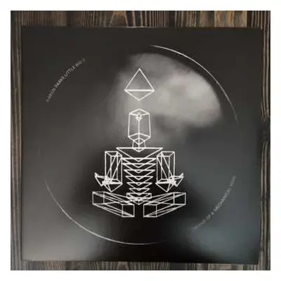 2LP Aaron Parks: Little Big II: Dreams Of A Mechanical Man LTD | CLR