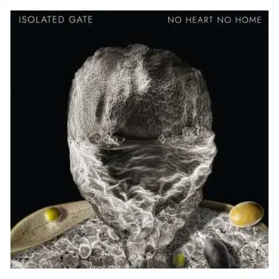 LP Isolated Gate: No Heart No Home