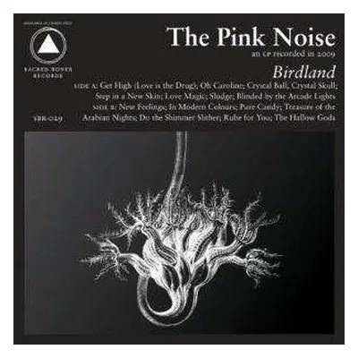 LP/MC The Pink Noise: Birdland DLX