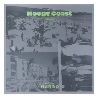 LP Moogy Coast: Koherencja