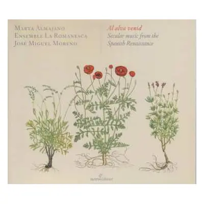 CD Various: Marta Almajano - Al Alva Venid