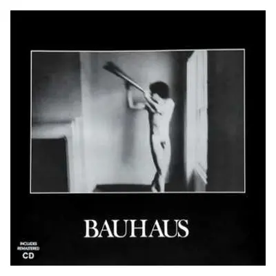 LP/CD Bauhaus: In The Flat Field