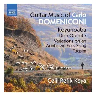 CD Carlo Domeniconi: Guitar Music Of Carlo Domeniconi