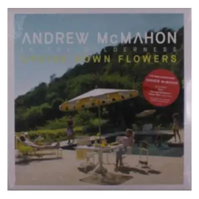 LP Andrew McMahon In The Wilderness: Upside Down Flowers