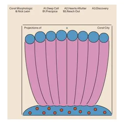 LP Coral Morphologic: Projections Of A Coral City