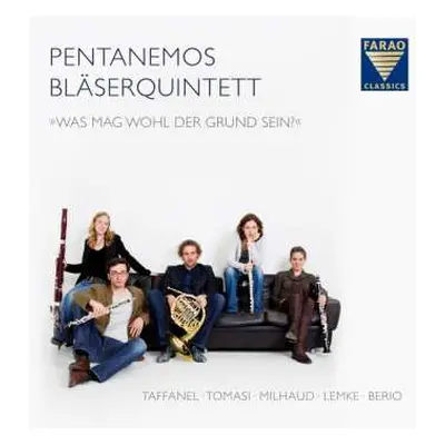 CD Various: Pentanemos Bläserquintett - "was Mag Wohl Der Grund Sein?"