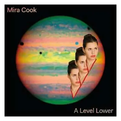 LP Mira Cook: A Level Lower CLR | LTD