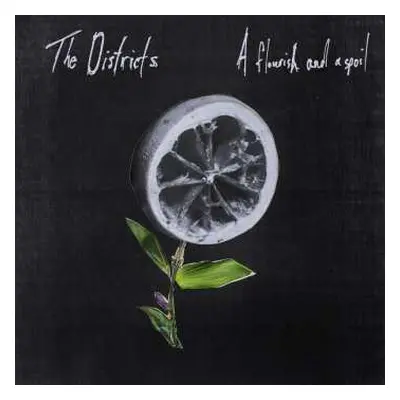 LP The Districts: A Flourish And A Spoil