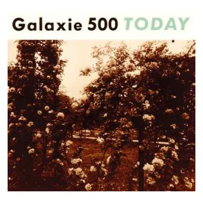 LP Galaxie 500: Today