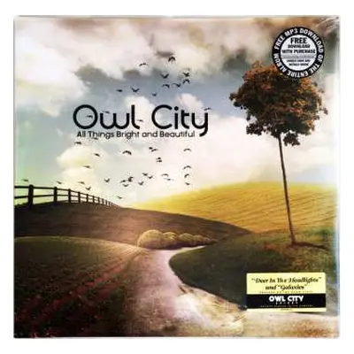 LP Owl City: All Things Bright And Beautiful