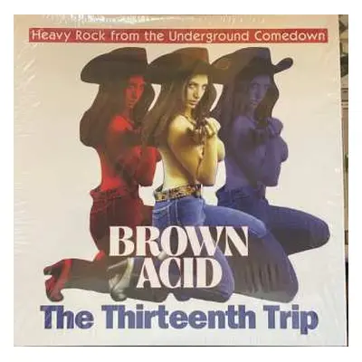 LP Various: Brown Acid: The Thirteenth Trip