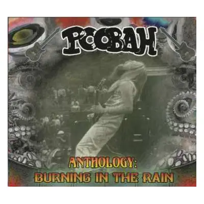 CD Poobah: Anthology: Burning In The Rain