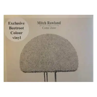 LP Mitch Rowland: Come June