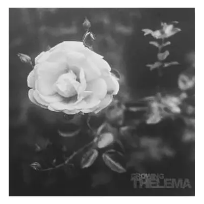 LP Thelema: Growing