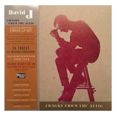 LP David J: Tracks From The Attic