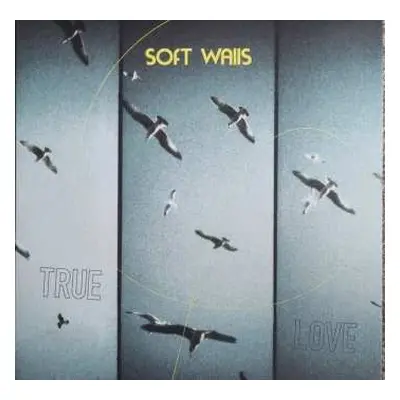 LP The Soft Walls: True Love