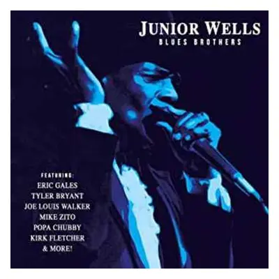 CD Junior Wells: Blues Brothers