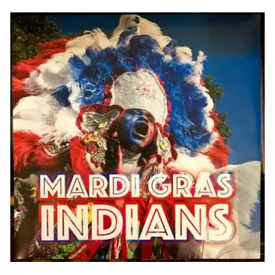 2LP The Mardi Gras Indians: Mardi Gras Indians CLR