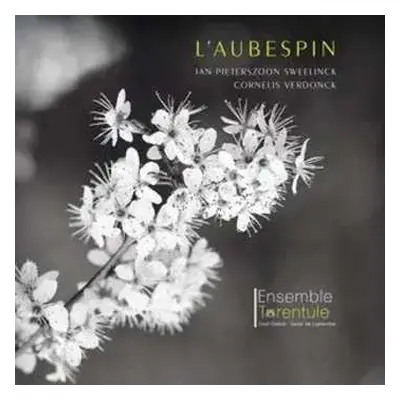 CD Ensemble Tarentule: L'aubespin