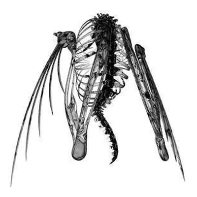 LP Lotic: Heterocetera