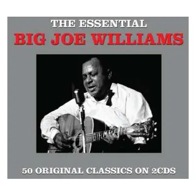 2CD Big Joe Williams: The Essential