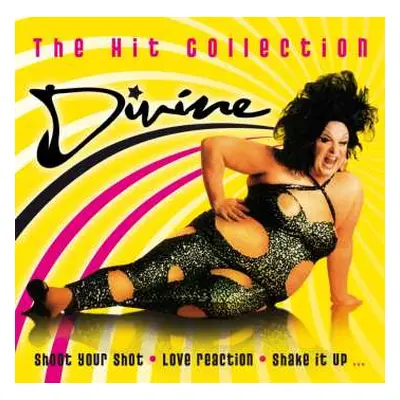 2CD Divine: The Hit Collection