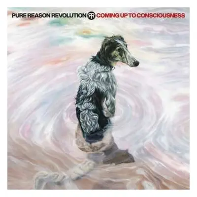 CD Pure Reason Revolution: Coming Up To Consciousness