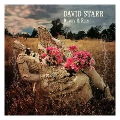 LP David Starr: Beauty & Ruin