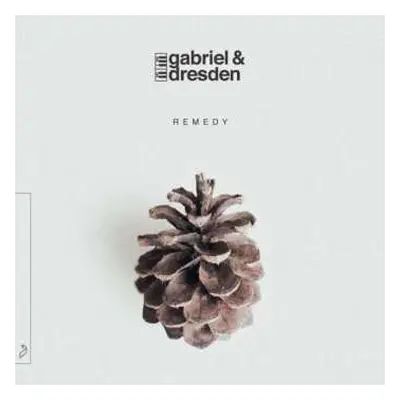 2LP Gabriel & Dresden: Remedy