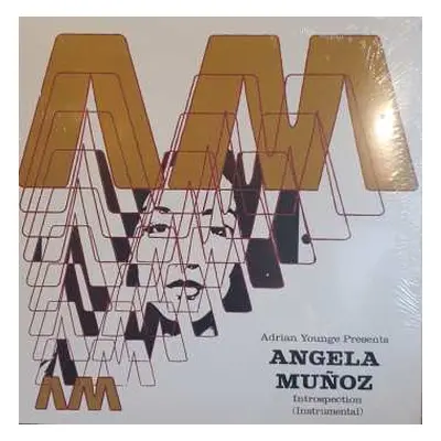 LP Angela Munoz: Introspection (Instrumental)