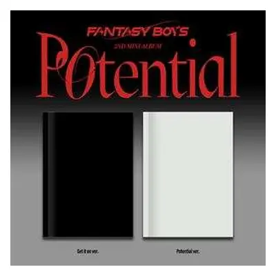 CD Fantasy Boys: Potential