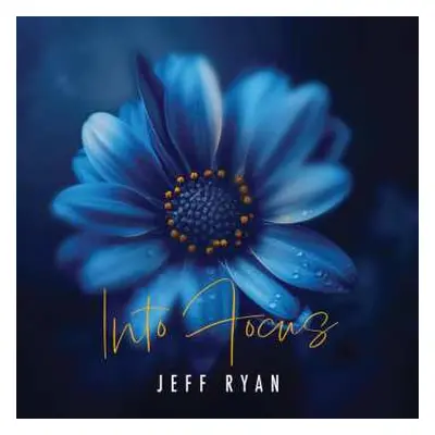 CD Jeff Ryan: Into Focus