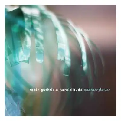 CD Harold Budd: Another Flower DIGI