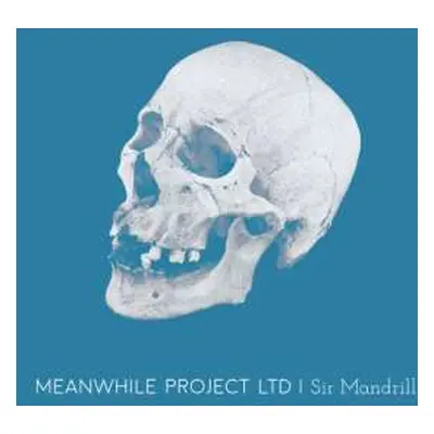 CD Meanwhile Project Ltd: Sir Mandrill