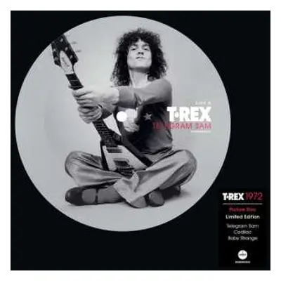 SP T. Rex: Telegram Sam LTD | PIC